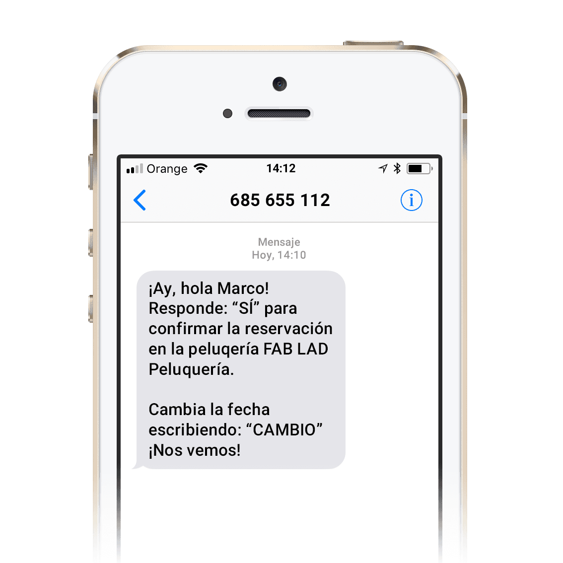 Recibir mensajes SMS en línea